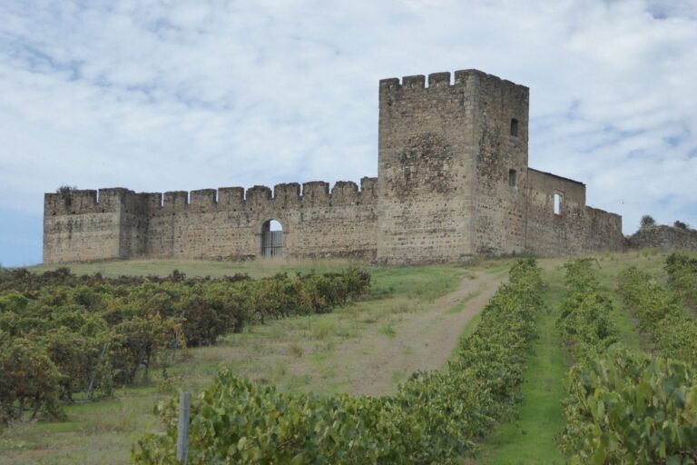castelo 1 Valongo administração de condomínios em valongo